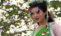 七仙女续集在线观看,仙凡情缘再续传奇