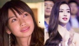 爆料明星八卦杨颖视频在线观看,揭秘明星幕后生活瞬间