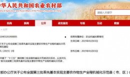 辛集新闻头条爆料群号,揭秘最新资讯动态